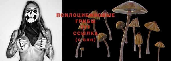 а пвп мука Аркадак