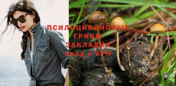 а пвп мука Аркадак