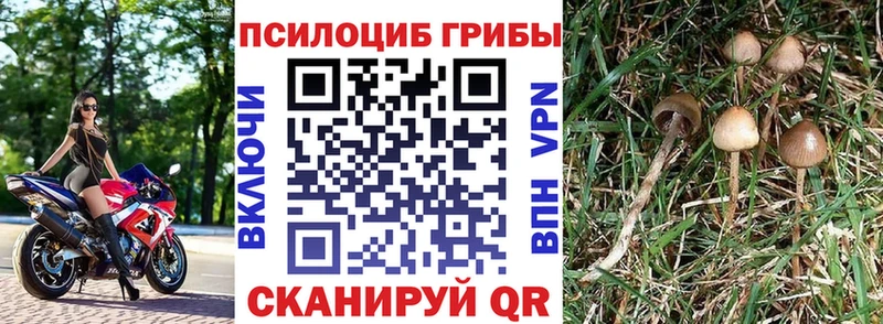 Галлюциногенные грибы мухоморы  Ставрополь 